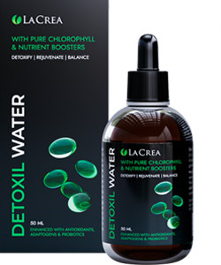 Detoxil Water Gastro
